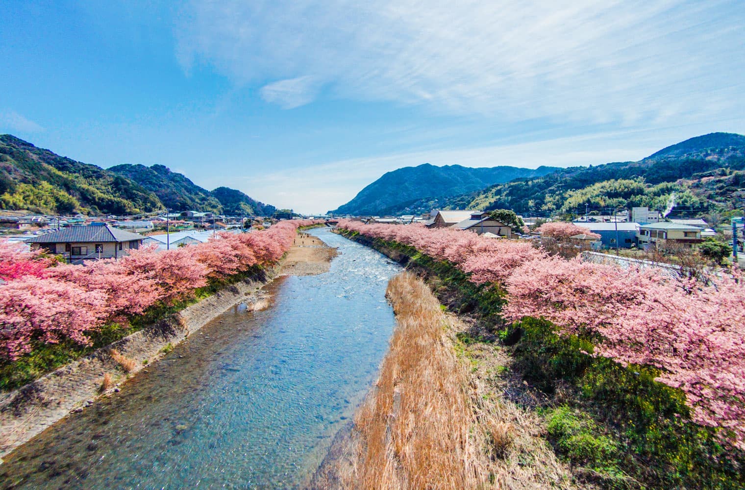 Kawazu Tourist Association Official Website An Onsen Resort Renowned