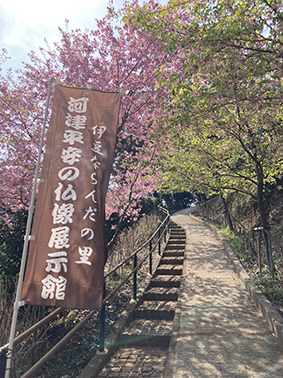 河津リトリート１日体験ツアー