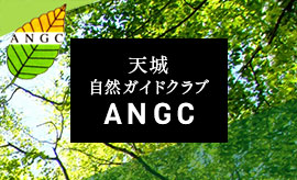 天城自然ガイドクラブ　ANGC