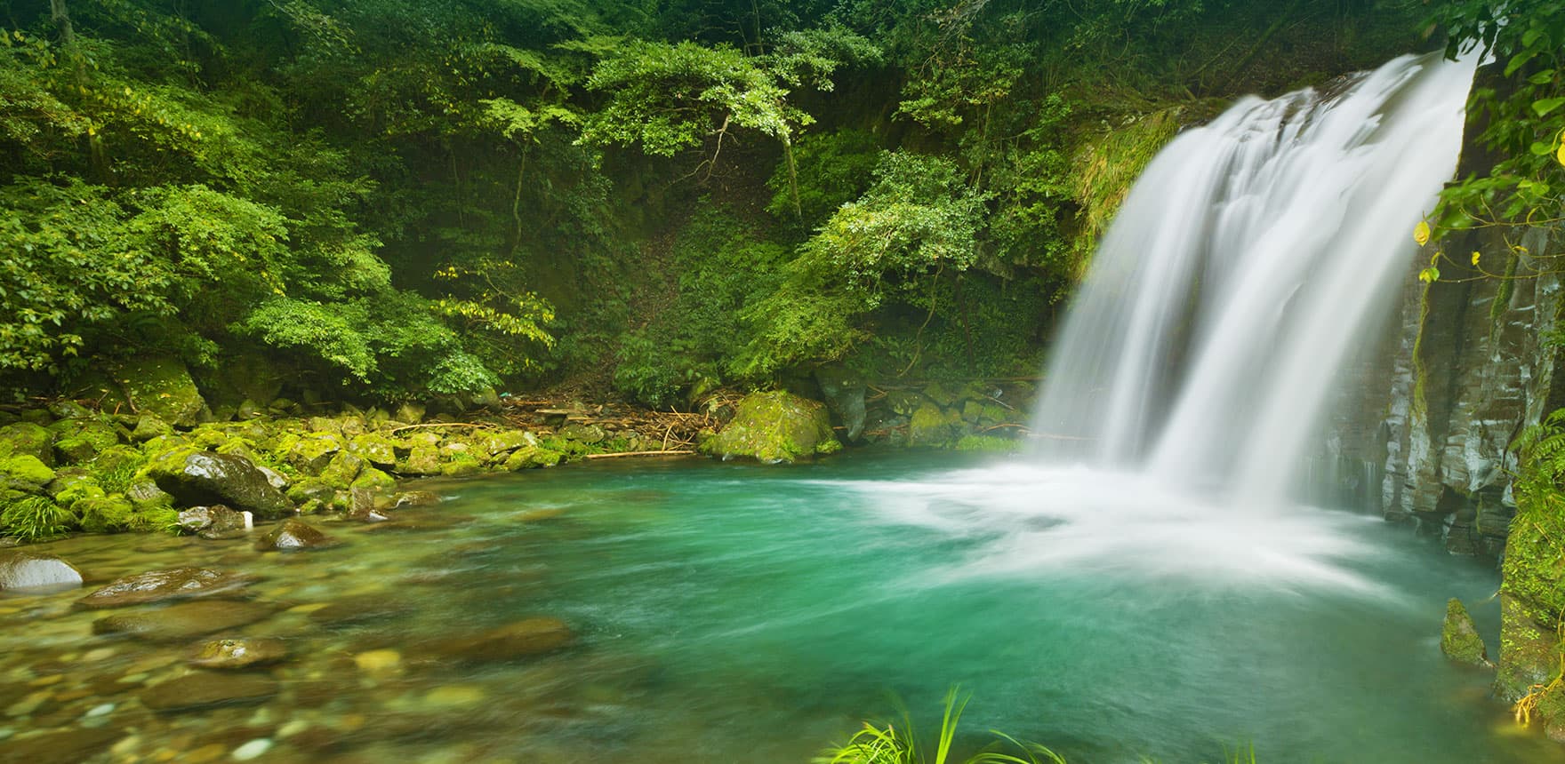 伊豆・河津町観光協会【公式サイト】伊豆の踊り子と河津桜の里